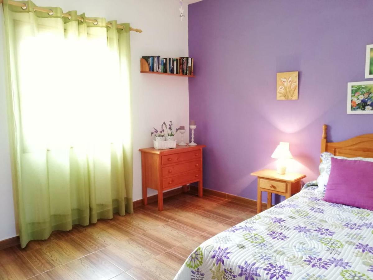 サンタ・クルス・デ・ラ・パルマ スペイン Casas Hoya Limpia- Solo Adultosゲストハウス エクステリア 写真